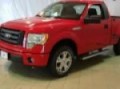 2009 FORD F-150