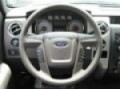 2009 Ford F-150  Charlotte Monroe NC