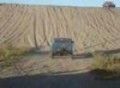 Arrancones en las dunas de Brisamar