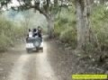 Corbett Jeep Safari