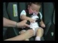 Evenflo - Triumph Advance Convertible Car Seat