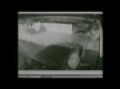 Jaguar Wild Ride Fox