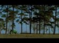 Kawasaki commercial