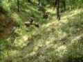 Motoclub Xtreme Climb - Grajales Puebla
