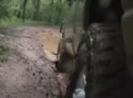 Mudding