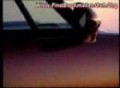 Porsche (993) Turbo - Oficial Video