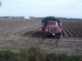 Potato Harvesting in Ladner BC Case MXM 140 & Grimme GZ 1700