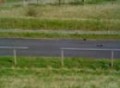 Racing with a Nitro car and an MG ZR