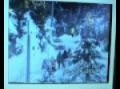 Rally Montecarlo 2001 Col De Turini (discesa fondo innevato) wrc