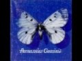 Samantha - Francesco Guccini (Album)