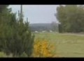 Skyline GTR 1300 hp.avi