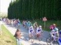 Team Colloto Junior Temp 2007