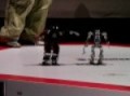 The 2nd ROBO-ONE Light, Semi final, ME09-G vs Camereon ...