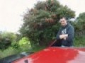 Vento personal trailer