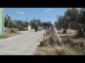 Volvo 142-71 racing in the mountains Part 2 HD