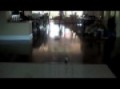 Xmod Jumping Part 2