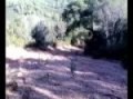 atv moto4 serra da arrabida