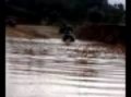 atv moto 4 polaris