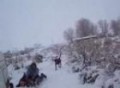 bronco 2 snow fun 3