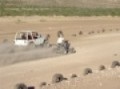 cuatrimoto vs jeep