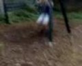 mj specky park 4