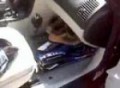 one sick saab (full video)