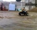 polaris  2x4