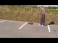 remote control car MG 10 TR