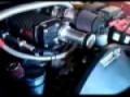 whipple-running.mp4